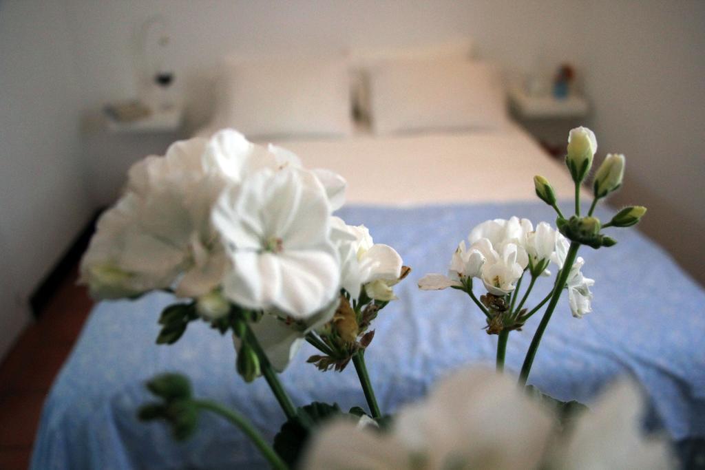 Bed and Breakfast A Casa Da Arvore Вила-Нова-де-Мильфонт Номер фото