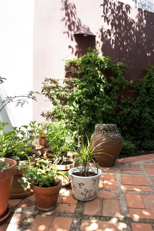 Bed and Breakfast A Casa Da Arvore Вила-Нова-де-Мильфонт Экстерьер фото